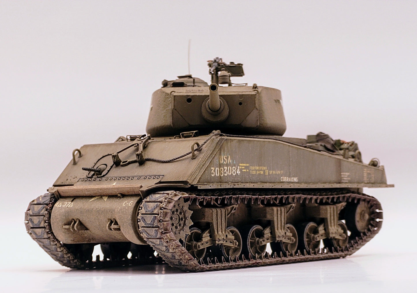 DB35052 T48, Worn Track with Rectangular Duckbills with dip